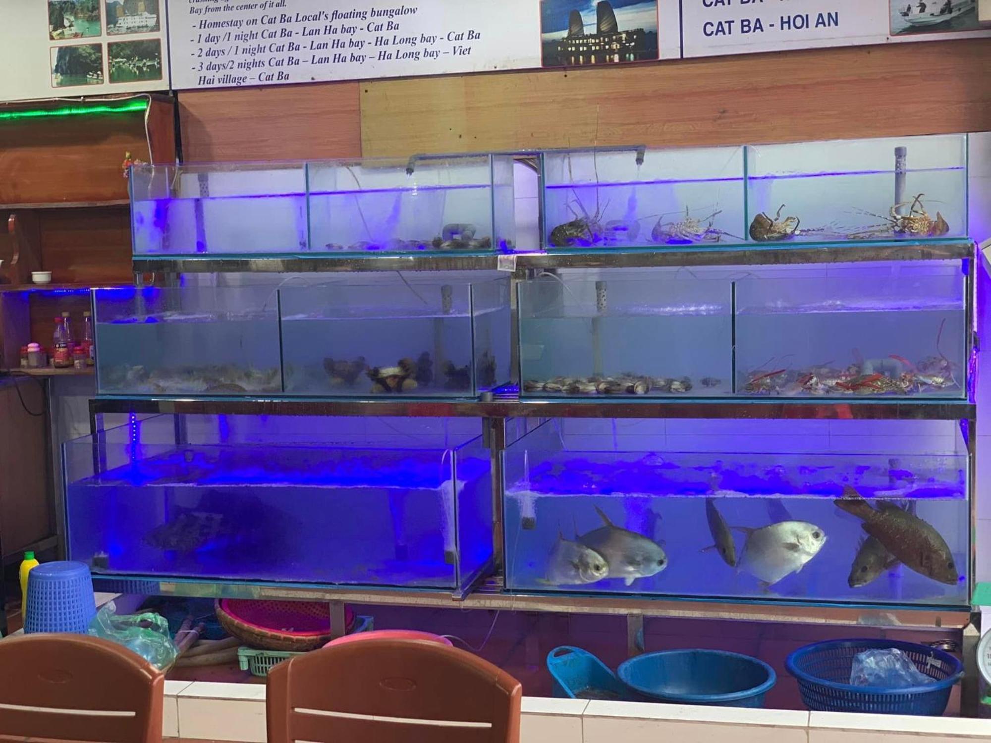 Phuong Phuong Hotel Dong Khe Sau Екстер'єр фото